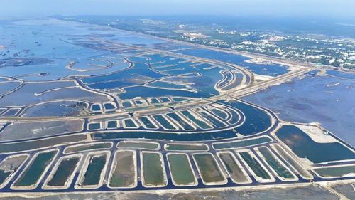 Cần chú trọng kinh tế biển gần và kinh tế biển xa nhằm tận dụng tối đa lợi thế từ không gian biển của TPHCM sau mở rộng.
