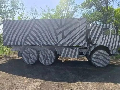 Xe tải KAMAZ với họa tiết vằn ngựa vằn. Nguồn: TMZ.