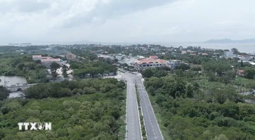Tầm nhìn đến năm 2030, xã Cần Giờ không chỉ là phát triển kinh tế thuần túy mà là phải kiến tạo một hệ sinh thái đô thị đẳng cấp quốc tế. (Ảnh: Hữu Duyên/TTXVN)