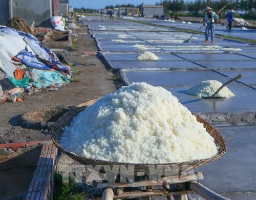 Xe muối được chất đầy, thành quả sau một ngày lao động của diêm dân. Ảnh: Công Luật - TTXVN 