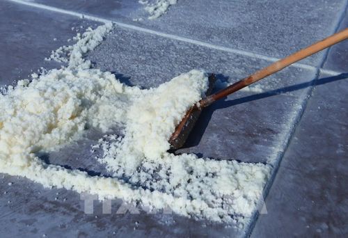 Công đoạn cào gọn muối đã kết tinh trên sân phơi. Ảnh: Công Luật - TTXVN 