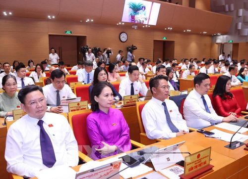 Các đại biểu dự kỳ họp. Ảnh: Văn Điệp - TTXVN