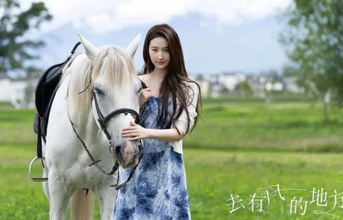 Nhiều khán giả nhận định hình tượng Tô Tĩnh Dao khá phù hợp với thế mạnh thể hiện các nhân vật bản lĩnh và giàu chiều sâu nội tâm của Lưu Diệc Phi.