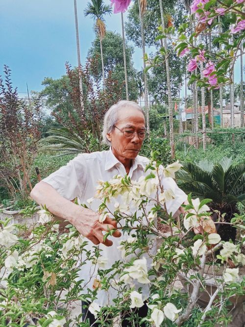 Ông Đào Xá chăm sóc khu vườn xanh mát quanh nhà ở thôn Bích Khê, xã Ái Tử. Sau 5 năm từ bỏ thuốc lá, việc làm vườn trở thành niềm vui giúp ông duy trì cuộc sống khỏe mạnh - Ảnh: Phương Thiện