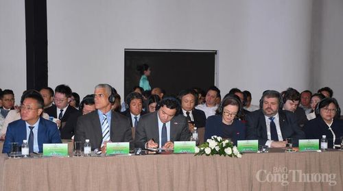 Đại biểu trong nước và quốc tế tham dự hội thảo. Ảnh: Thanh Minh.
