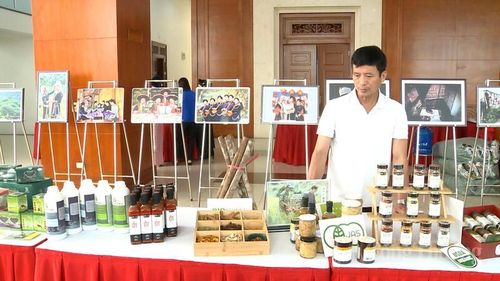 Các sản phẩm đặc sản, OCOP của tỉnh Cao Bằng được trưng bày, giới thiệu tại hội nghị xúc tiến thương mại. Ảnh: Đồng Cường