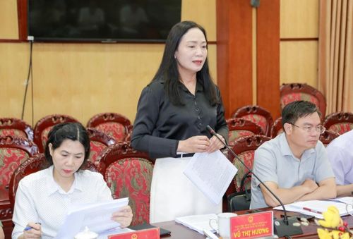 Giám đốc Sở Dân tộc và Tôn giáo Vũ Thị Hương phát biểu tại phiên họp.