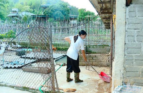 Người dân xã Thanh Yên duy trì cảnh giác, chủ động vệ sinh chuồng trại phòng chống dịch cúm A/H5N1.