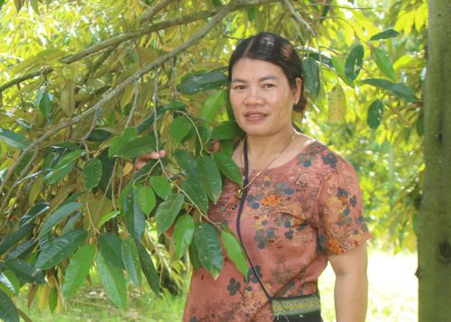 Bà Ka Nền, Bí thư Chi bộ, Trưởng thôn 3 Lộc Nam cho biết người dân ở thôn rất quan tâm đến việc tham gia mã vùng trồng sầu riêng