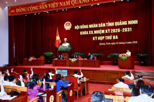 Đại biểu HĐND tỉnh biểu quyết thông qua các nghị quyết tại kỳ họp. Ảnh: Minh Hà