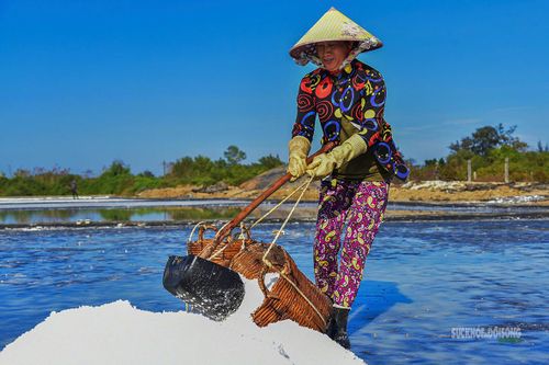 Công việc diễn ra liên tục dưới nền nhiệt cao và ánh nắng chói chang. Ảnh: Lê Tiến