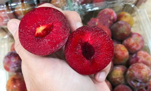 Quả mận tính bình, có tác dụng tiêu khát, dưỡng nhan nhưng không nên ăn quá nhiều.