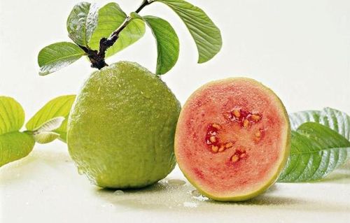 Ổi ruột đỏ giàu lycopene và có hàm lượng vitamin C cao.