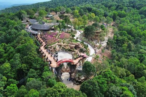  Trước đó, qua kiểm tra, cơ quan chức năng phát hiện hàng loạt sai phạm quy mô lớn tại dự án The Peak, gồm: Chủ đầu tư đã tự ý chuyển đổi mục đích sử dụng hàng nghìn mét vuông đất trồng cây lâu năm sang đất phi nông nghiệp, làm thay đổi địa hình tự nhiên và độ dốc bề mặt thửa đất. 