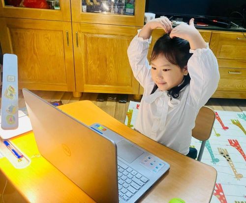 Học sinh trường Tiểu học Thăng Long, Hà Nội học trực tuyến. Ảnh minh họa: TTXVN phát