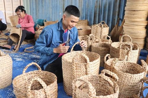 Từ cỏ dại, lục bình được "hóa kiếp" thành những sản phẩm hữu ích, thân thiện với môi trường để xuất.