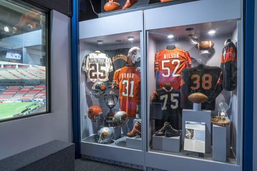 (Ảnh: BC Sports Hall of Fame)