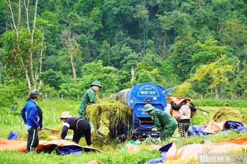 Bộ đội biên phòng giúp người dân tuốt lúa.