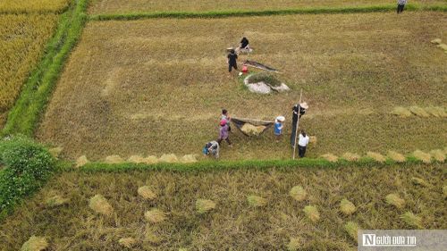 Dự án lúa nước Rục Làn được đơn vị triển khai thực hiện vào năm 2010 với diện tích khoảng 10ha.