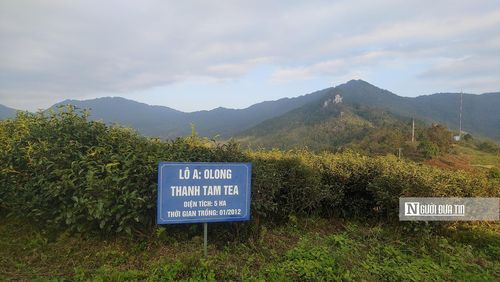 Điểm du lịch tại Phia Oắc - Phia Đén tỉnh Cao Bằng cũng thu hút nhiều khách du lịch đến trải nghiệm các sản phẩm OCOP.