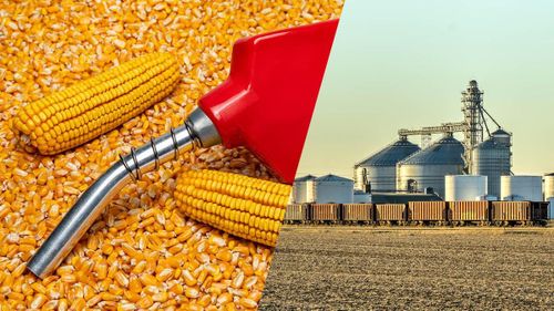 Xăng E10 là hỗn hợp nhiên liệu gồm 90% xăng truyền thống từ dầu mỏ và 10% ethanol tái tạo. (Nguồn: Statcan.gc.ca)