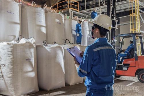 Sản phẩm hiện được xuất khẩu vào thị trường Nhật Bản