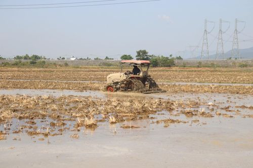 Một số địa phương đang khẩn trương hoàn tất khâu làm đất để gieo sạ lúa vụ hè thu. Ảnh: HOÀNG HIỆP