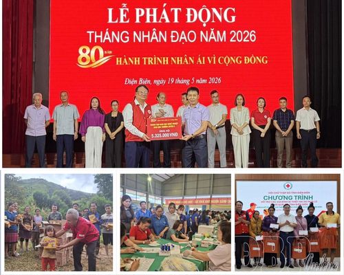 Nhiều hoạt động trong Tháng Nhân đạo 2026 đã được Hội Chữ thập đỏ các cấp thực hiện hiệu quả.