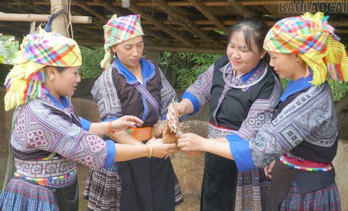 Hội viên phụ nữ xã Chế Tạo trao đổi kỹ thuật nuôi gà.