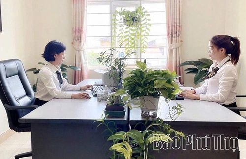 Cán bộ Sở Ngoại vụ nghiên cứu, tham mưu các chương trình, kế hoạch đối ngoại của tỉnh.