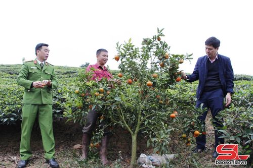 Đoàn công tác của Công an tỉnh, Ngân hàng CSXH tỉnh kiểm tra việc sử dụng vốn vay theo Quyết định số 22/2023/QĐ-TTg tại xã Chiềng Sơn.