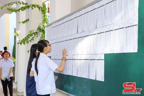 Thí sinh tra cứu thông tin phòng thi tại điểm thi Trường THPT Chuyên Sơn La.