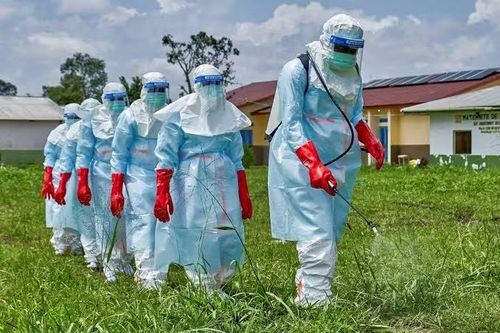 Chiến dịch chống Ebola năm nay đang đã được triển khai