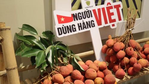 Những khay vải u hồng vừa thu hoạch được vận chuyển thẳng từ vùng trồng tới phố Tràng Tiền, mang hương vị đầu mùa đến với người tiêu dùng Thủ đô.