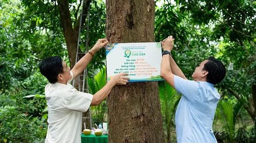 Lãnh đạo Sở Nông nghiệp và Môi trường tỉnh Đồng Tháp (bên phải) cùng nông dân thực hiện gắn bảng cho cây xoài.