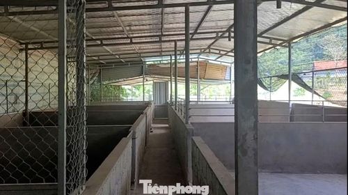 Bên trong trang trại nhà ông T. Ảnh cắt từ clip ngày 27/5.