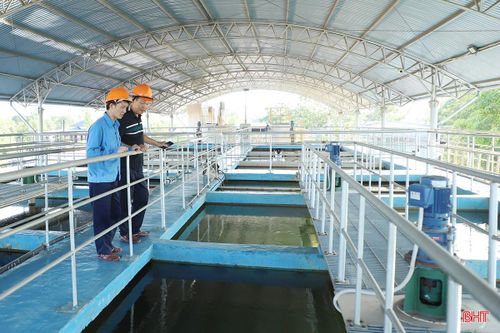 Lãnh đạo và công nhân Nhà máy nước Bộc Nguyên kiểm tra bể lắng xử lý nước sinh hoạt.
