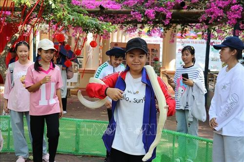 Khách du lịch trải nghiệm tại Trại rắn Đồng Tâm, xã Kim Sơn, tỉnh Đồng Tháp.