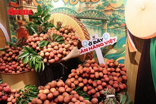 Những chùm vải sớm Bắc Ninh được trưng bày tại Không gian “Sức sống hàng Việt”, số 62 Tràng Tiền, Hà Nội.
