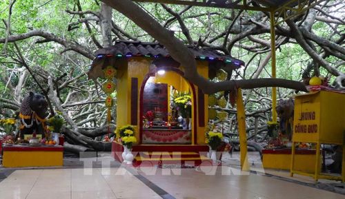 Miếu thờ bà Thượng Động Cố Hỉ (hay Hỷ) tại Di tích lịch sử Giàn Gừa. Ảnh: Nguyễn Hằng – TTXVN