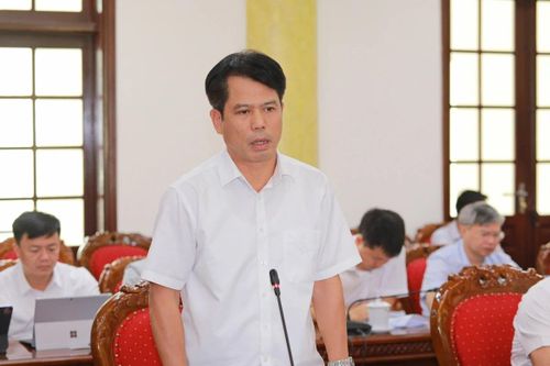 Trưởng Ban Tuyên giáo và Dân vận Tỉnh ủy Đào Xuân Yên phát biểu tại hội nghị.