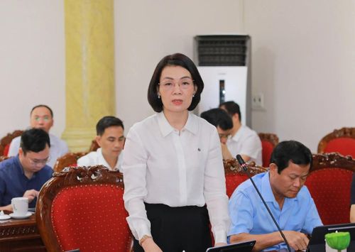 Đồng chí Phó Chủ tịch Thường trực Ủy ban MTTQ tỉnh Đỗ Thị Toán phát biểu tại hội nghị.