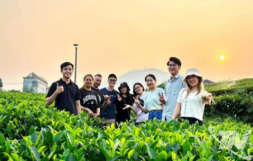 Các dự án du lịch gắn với văn hóa trà sẽ góp phần quan trọng trong quảng bá thương hiệu chè Thái Nguyên ra thị trường trong và ngoài nước.