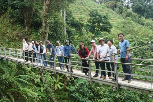 Du lịch vùng dược liệu được xem là một không gian trải nghiệm mới có thể thu hút lượng lớn du khách. Ảnh: Phú Thiện