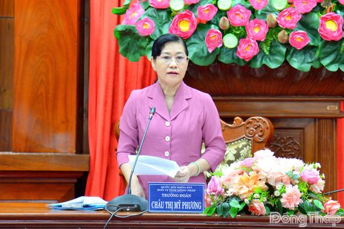 Đồng chí Châu Thị Mỹ Phương, Phó Bí thư Tỉnh ủy, Trưởng Đoàn Đại biểu Quốc hội khóa XVI tỉnh Đồng Tháp phát biểu tại hội nghị.