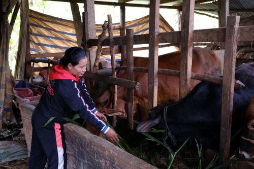 Nhiều chương trình vay vốn với chính sách ưu đãi cho thanh niên