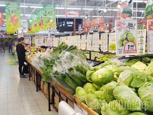 Nông sản của các HTX có mặt tại hệ thống các siêu thị lớn như GO, Winmart, Coop Mart...nhờ hiệu quả của chuỗi liên kết