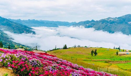 Bức tranh thiên nhiên sống động muôn mầu sắc, lung linh trên thảo nguyên Suôi Thầu.