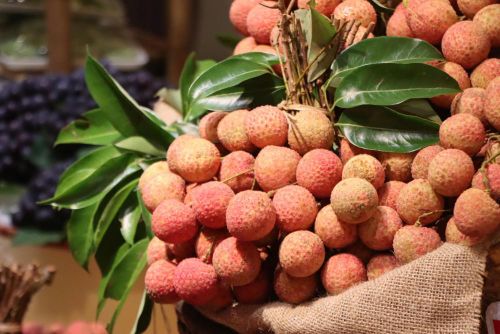 Nổi bật tại chương trình là vải u hồng, vải thiều đầu vụ, các sản phẩm chế biến từ trái vải