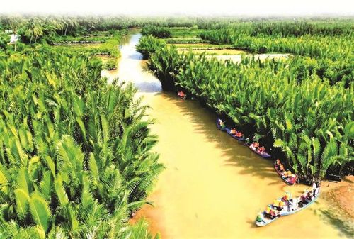  Rừng dừa nước để thu hoạch lấy mật cũng là điểm đến về du lịch sinh thái của anh Thương. Ảnh: N.Y 